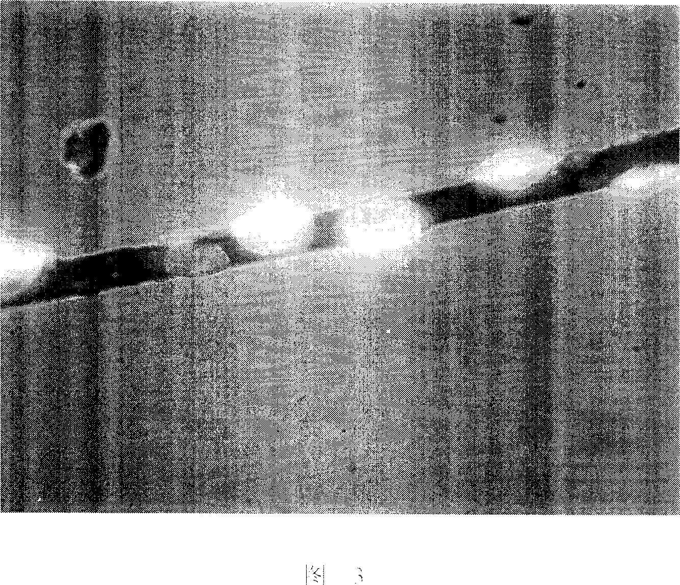 Method for modifying and producing waste asphalt bamboo fibre and its apparatus