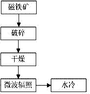 Pretreatment method of magnetite