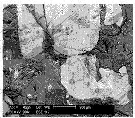 Pretreatment method of magnetite