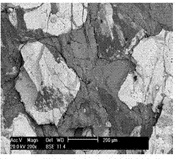 Pretreatment method of magnetite