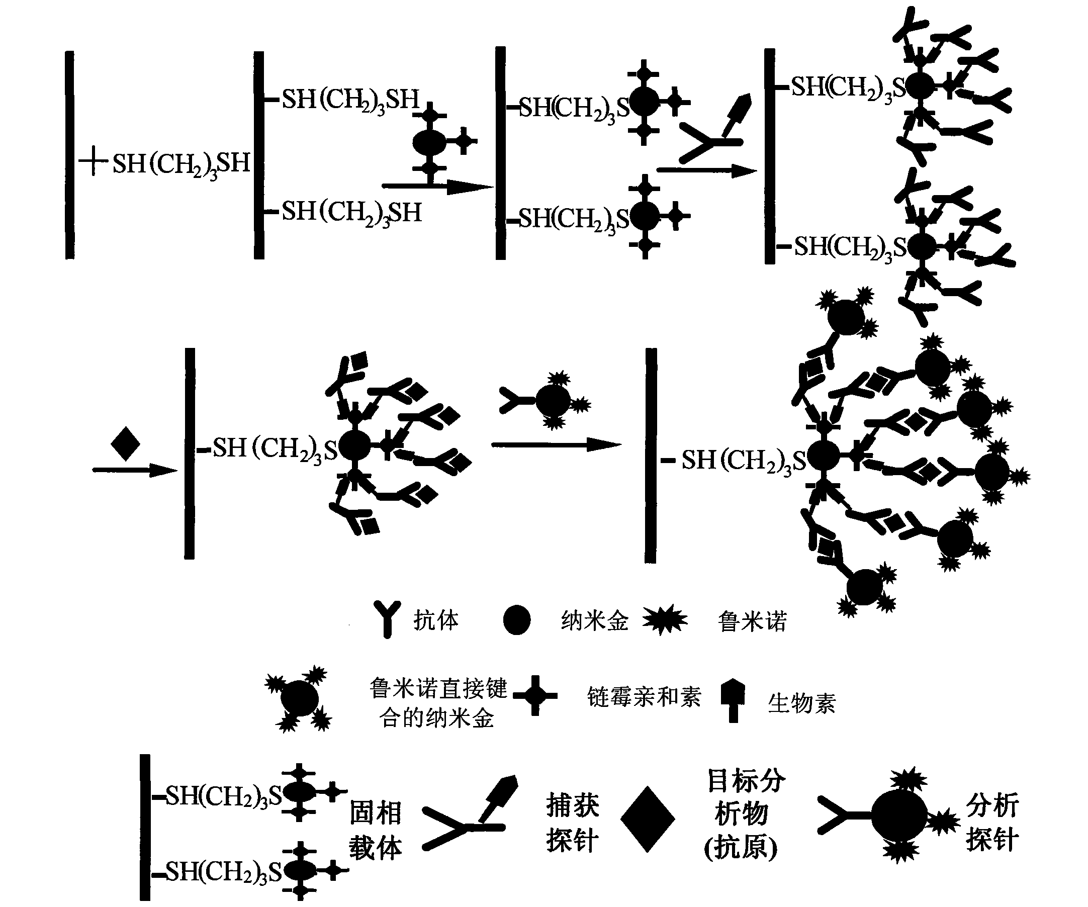 Application of nano-gold directly bonded with luminol in immunoassay