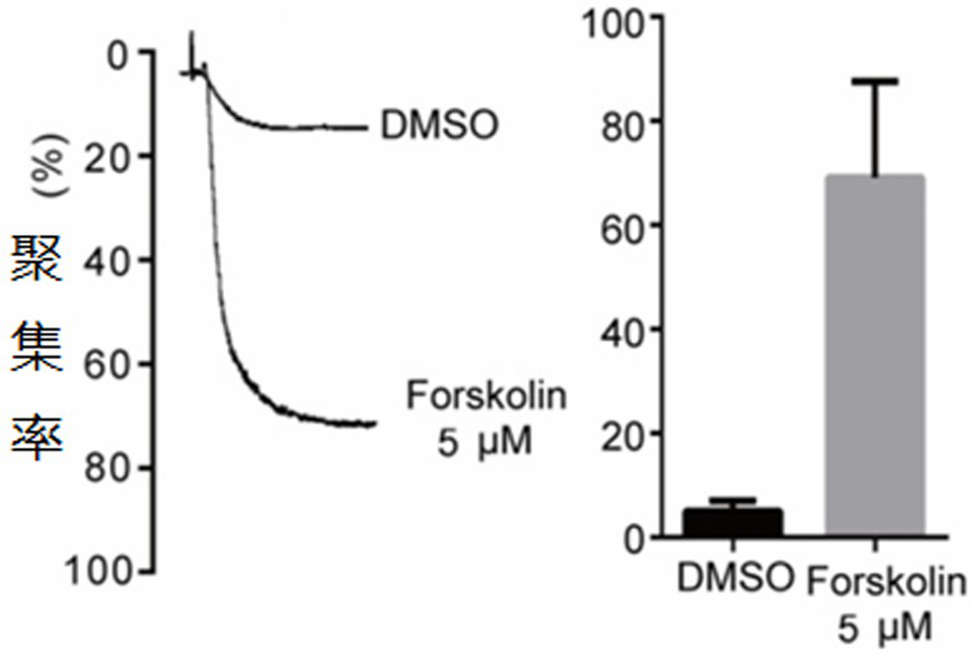 Application of protein kinase a activator in platelet preservation and platelet preservation method