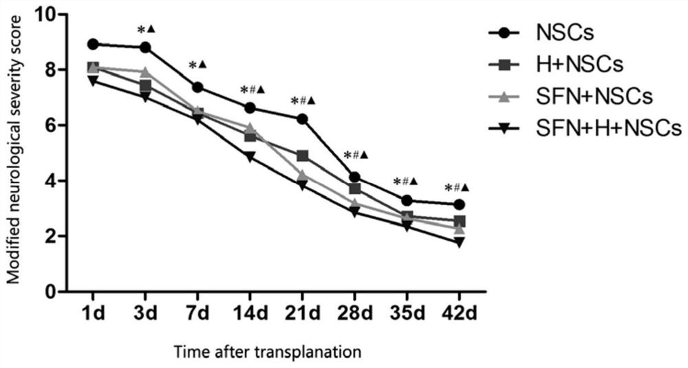 Hydrogel/fibroin nanofiber/neural stem cell integrated transplant for promoting VEGF secretion as well as preparation method and application thereof