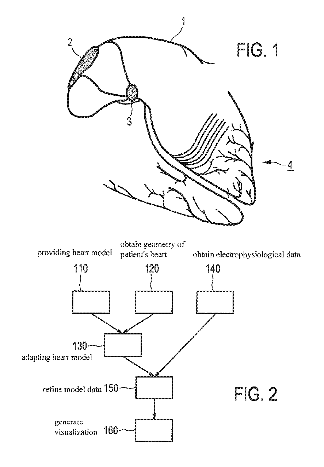 Apparatus and method for visualizing a conduction tract of heart