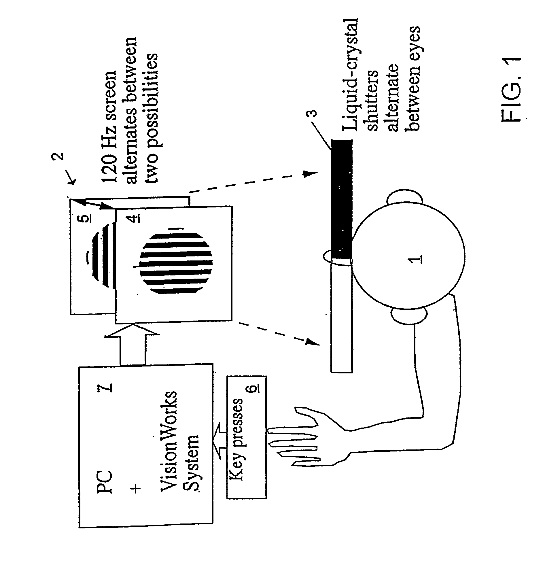 Method and apparatus for diagnosing schizophrenia and schizophrenia subtype