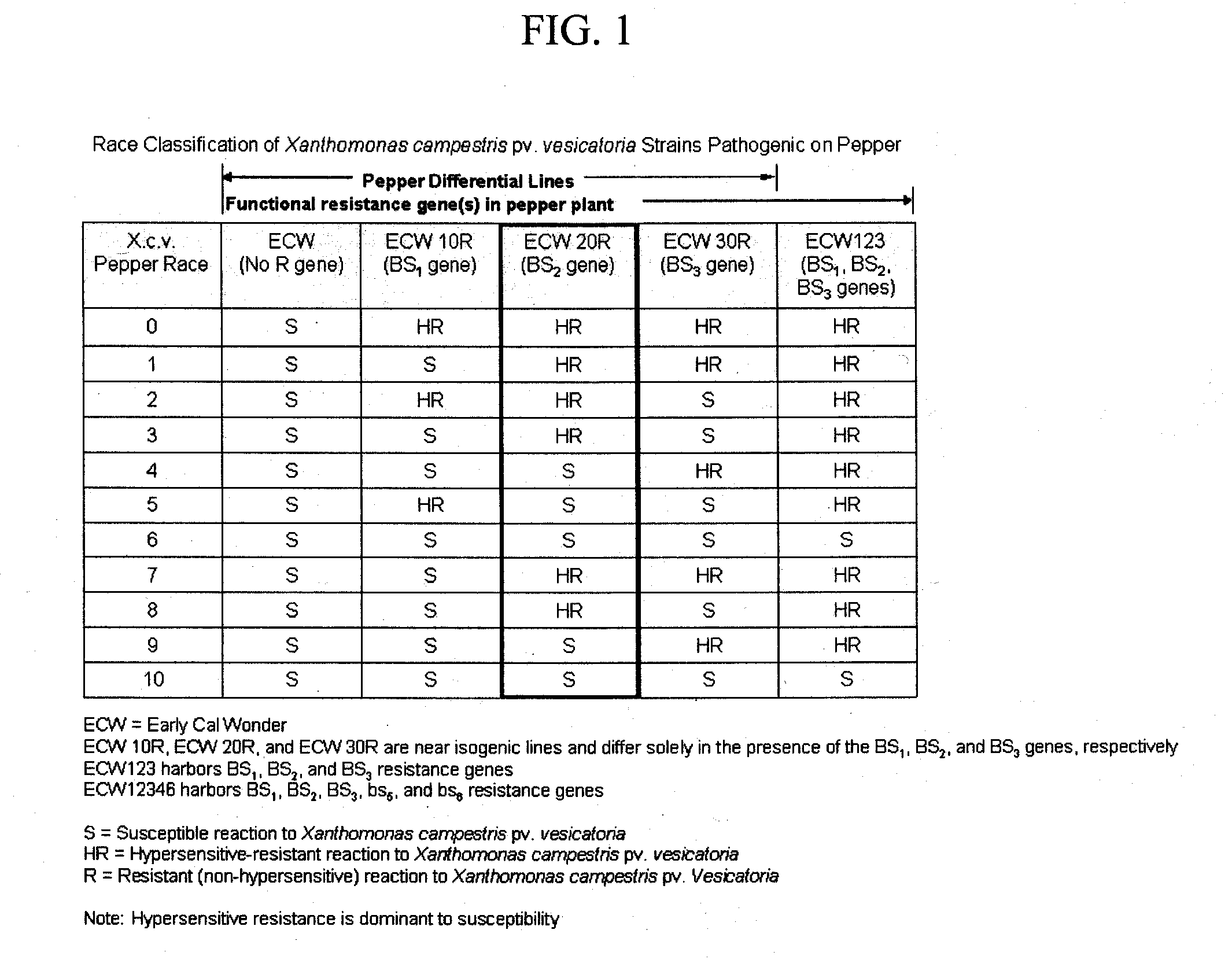 COMPOSITIONS AND METHODS FOR ASSAYING MARKERS TIGHTLY LINKED TO RESISTANCE LOCUS Bs2 OF PEPPER