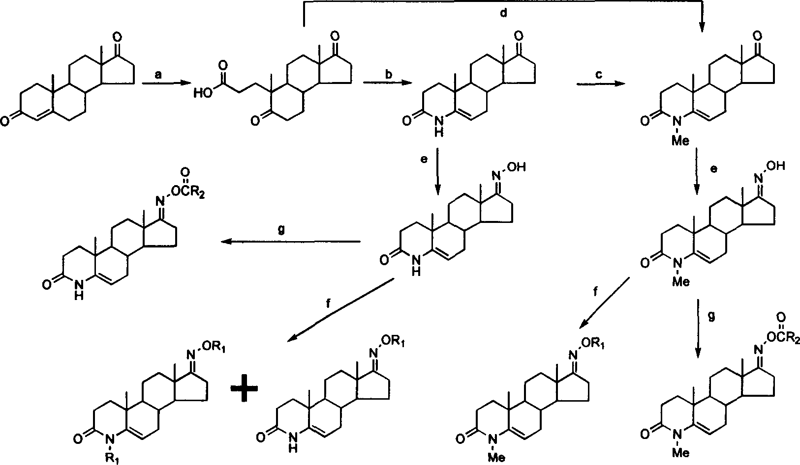 Steroid compound with 5-alpha reductase active and preparation process thereof