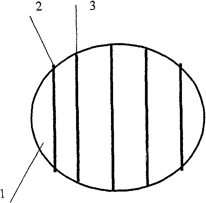 Long-life dumplings