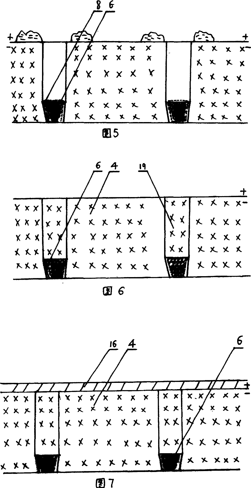 Water-saving type salina physics-chemistry-biology comprehensive improvement and vegetation construction technique