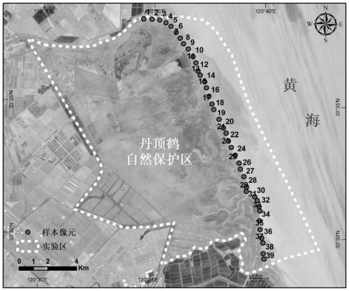 Method for repairing remote sensing vegetation index time sequence under influence of coastal zone tides