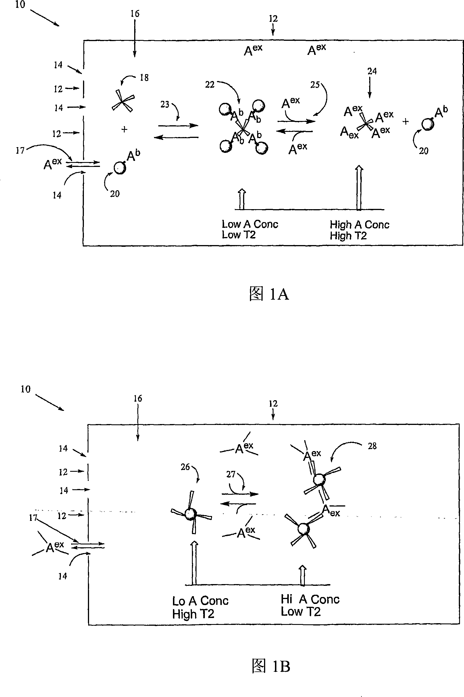 Water relaxation-based sensors