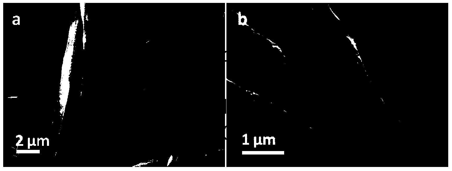 Composite fiber and polymer based flexible composite film and preparation method thereof