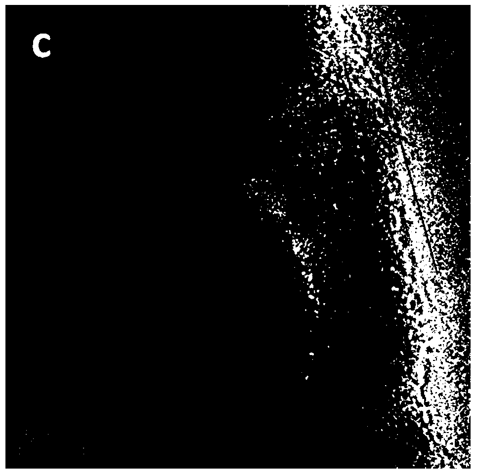 Composite fiber and polymer based flexible composite film and preparation method thereof