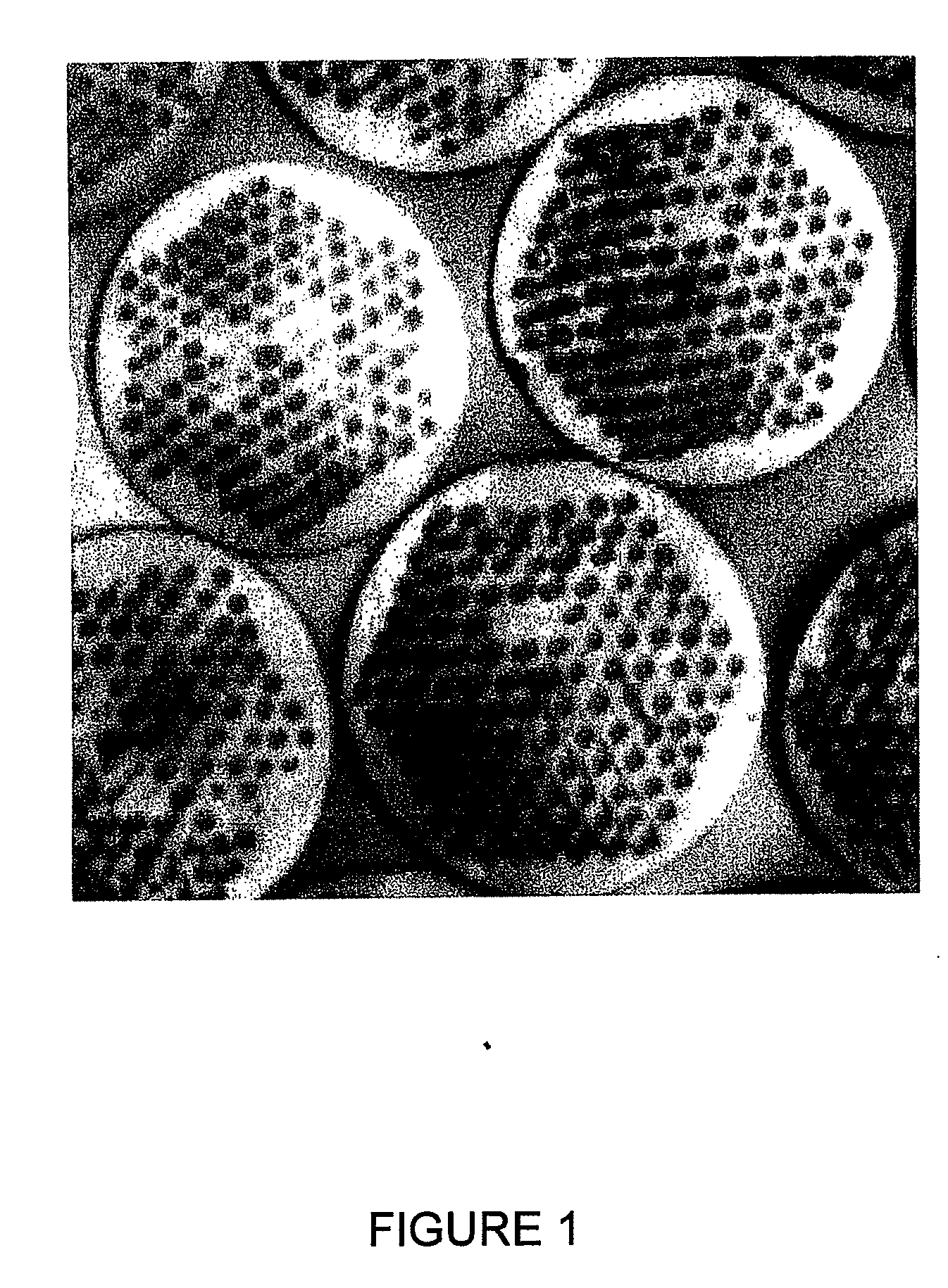 Continuous, carbon-nanotube-reinforced polymer precursors and carbon fibers