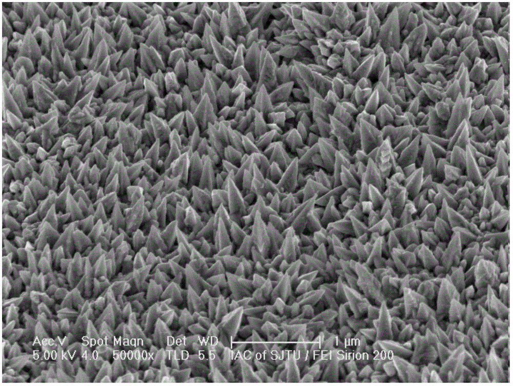 Method for preparing micro-nano needle conical structure for copper interconnection by electrochemical deposition