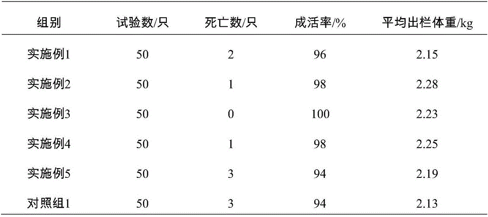 Large-scale ecological local chicken breeding method