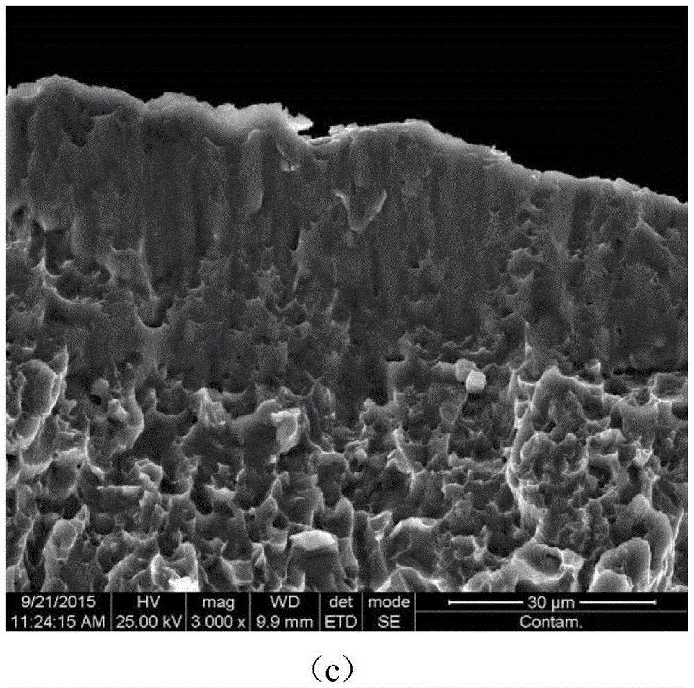 Carbon steel or stainless steel surface micro-arc oxidation ceramic coating based on aluminized coating, and preparation method thereof