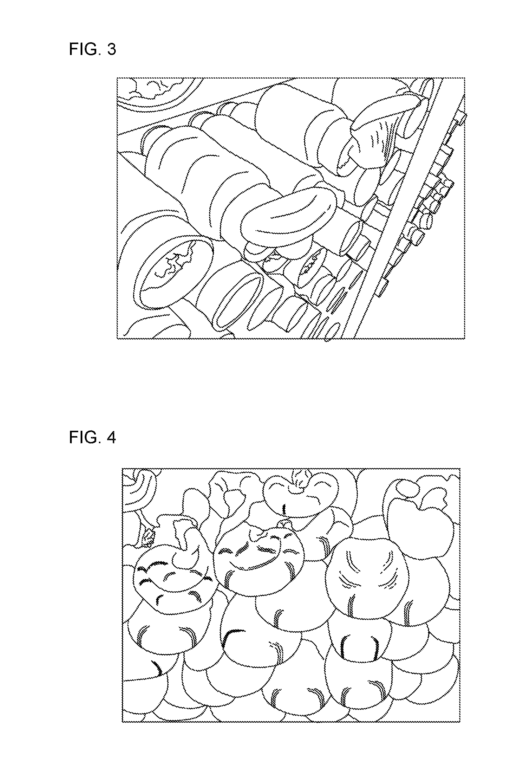 Strain of <i>Pleurotus nebrodensis </i>and method for cultivating the same