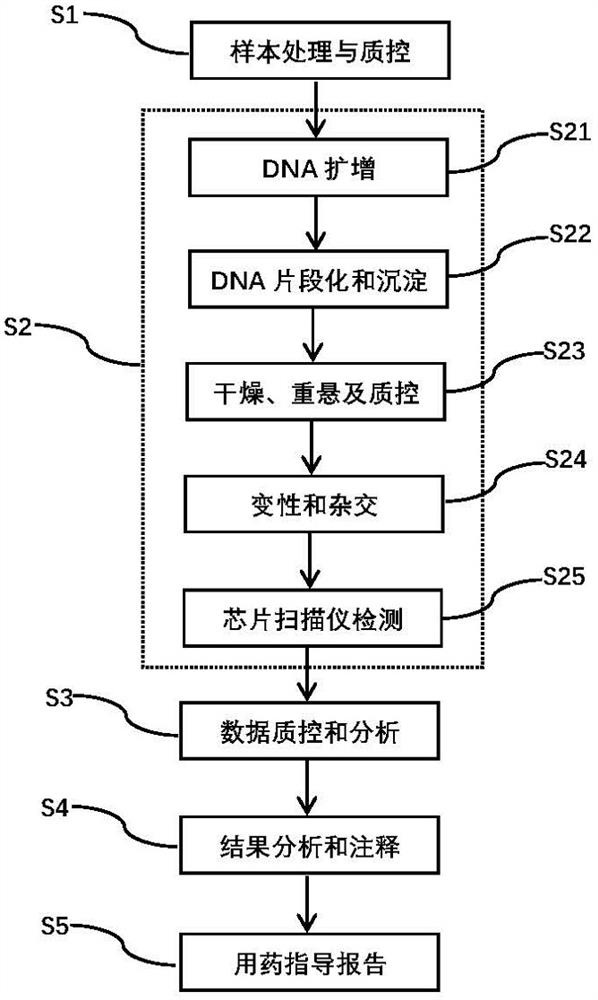 Drug gene mutation detection kit and detection method based on SNV array technology