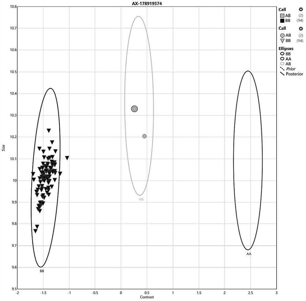 Drug gene mutation detection kit and detection method based on SNV array technology