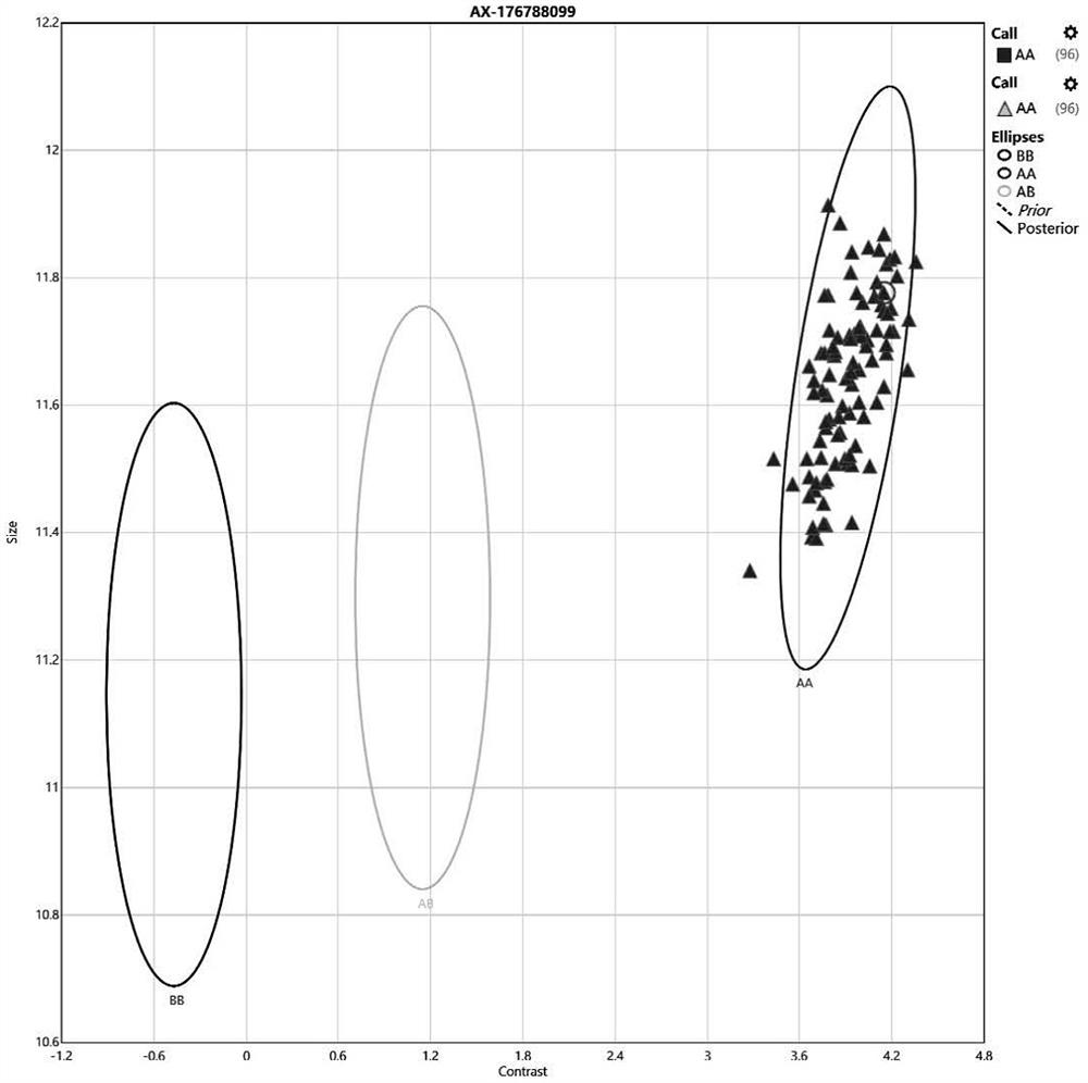 Drug gene mutation detection kit and detection method based on SNV array technology