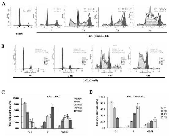 Application of astragaloside in preparation of drugs for promoting epithelization in wound healing