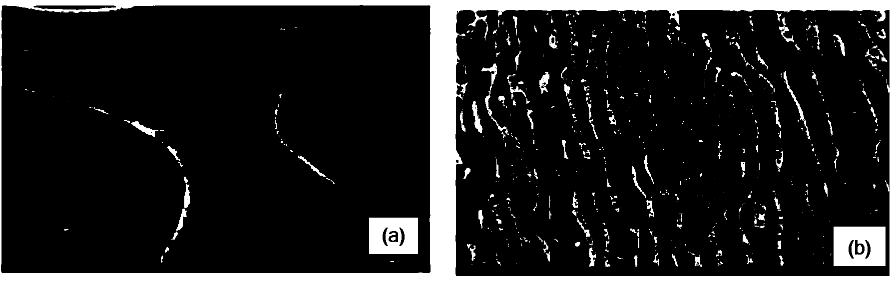 High-plant high-performance polylactic acid alloy material