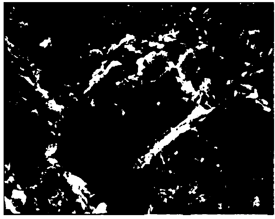 Prediction method of mechanical response characteristics of cemented filling body based on image and microscopic parameters