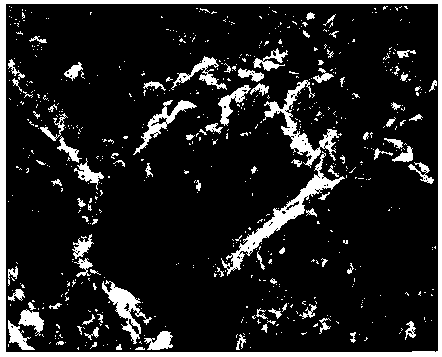 Prediction method of mechanical response characteristics of cemented filling body based on image and microscopic parameters