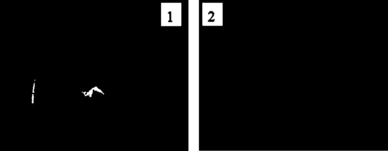 Preparation method of carbon quantum dot containing calcium alginate gel for detecting copper ions