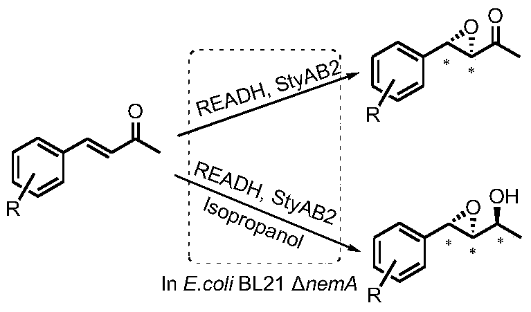 A tunable multienzyme cascade for the synthesis of optically pure allylic epoxy ketones or alcohols