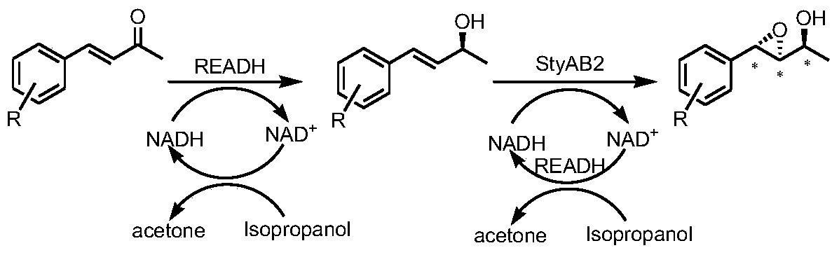 A tunable multienzyme cascade for the synthesis of optically pure allylic epoxy ketones or alcohols