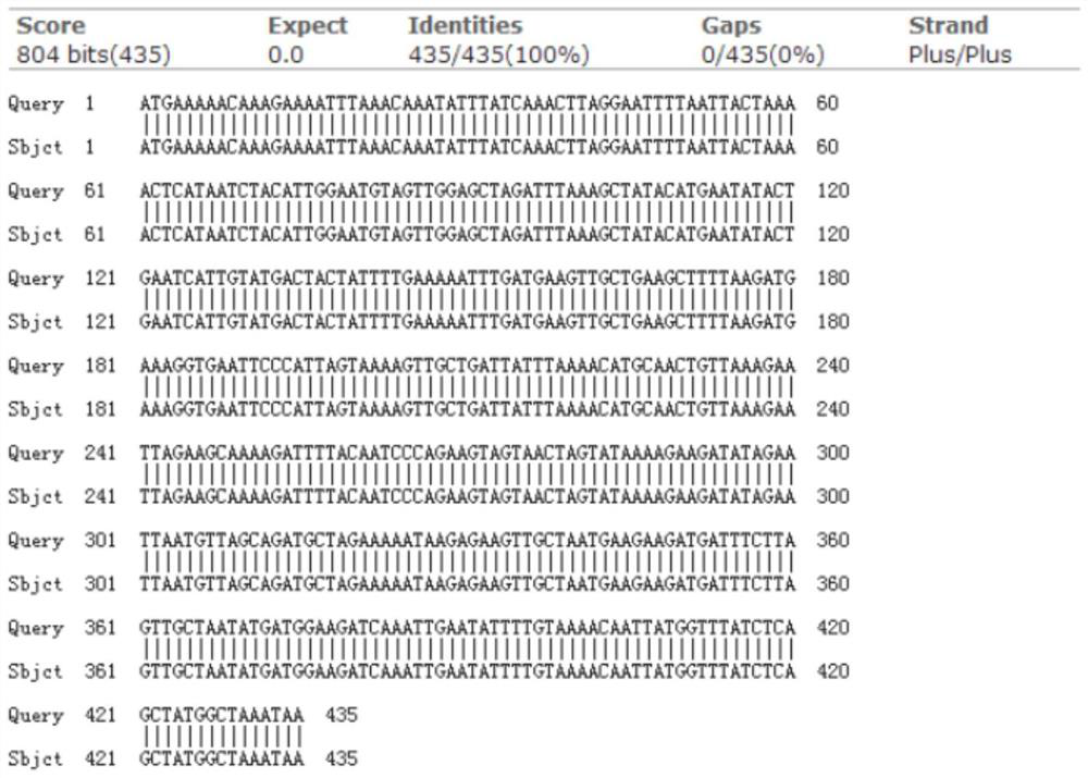 Preparation method of fusobacterium nucleatum neutrophile granulocyte activator protein