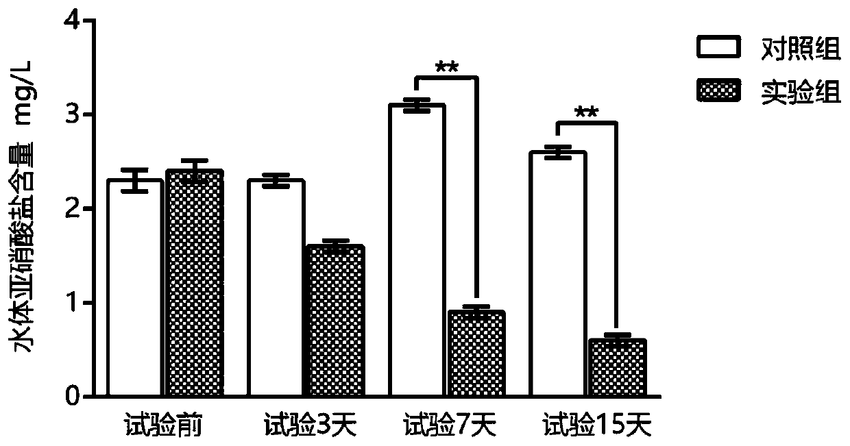 Fast fermentation compound probiotic regulator for improving water quality of aquaculture farm