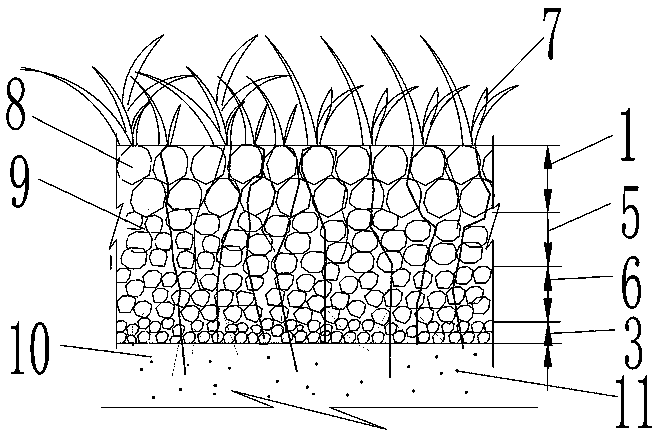 Grass planting concrete construction based on herbal root system architecture and fabrication method of grass planting concrete construction