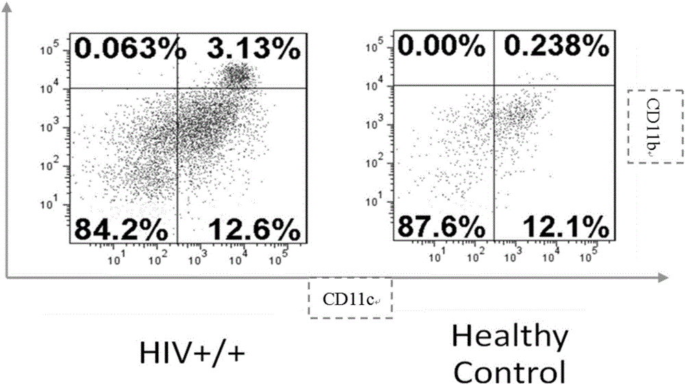 Kit and method for combining and analyzing CD11c+CD11b+DC subgroup and differentiation degree and functions thereof