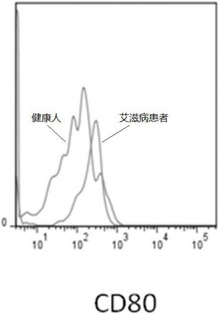 Kit and method for combining and analyzing CD11c+CD11b+DC subgroup and differentiation degree and functions thereof