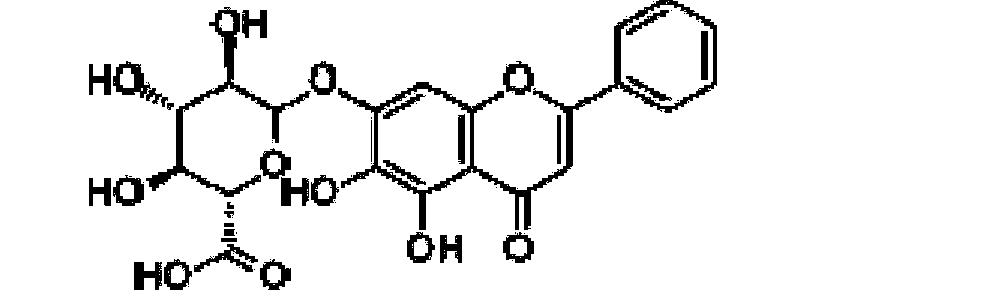 Method for protecting biological material before irradiation sterilization