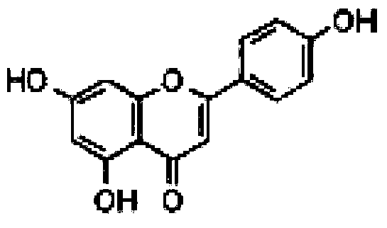 Method for protecting biological material before irradiation sterilization