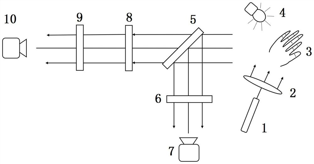 Dual-mode imaging method and system for skin blood perfusion characterization