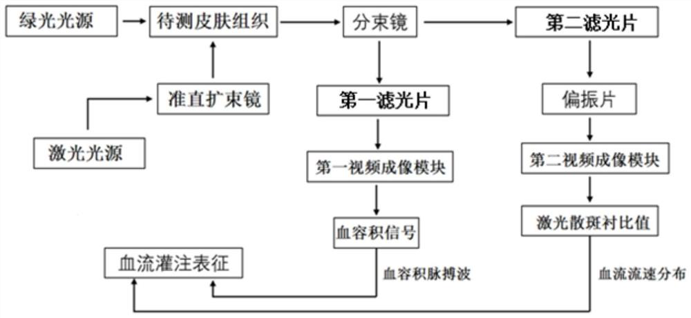 Dual-mode imaging method and system for skin blood perfusion characterization