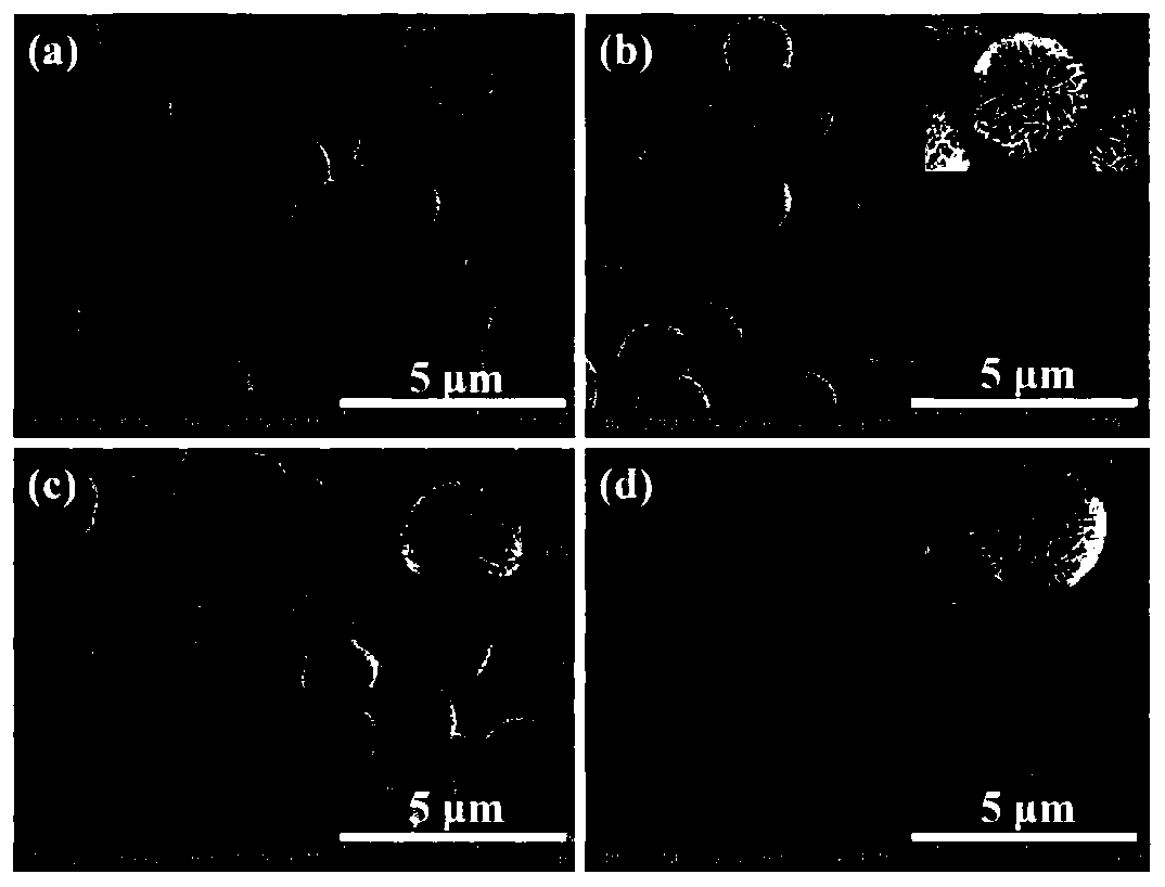 CaF2 material for absorbing trace water in HF gas and preparation method thereof