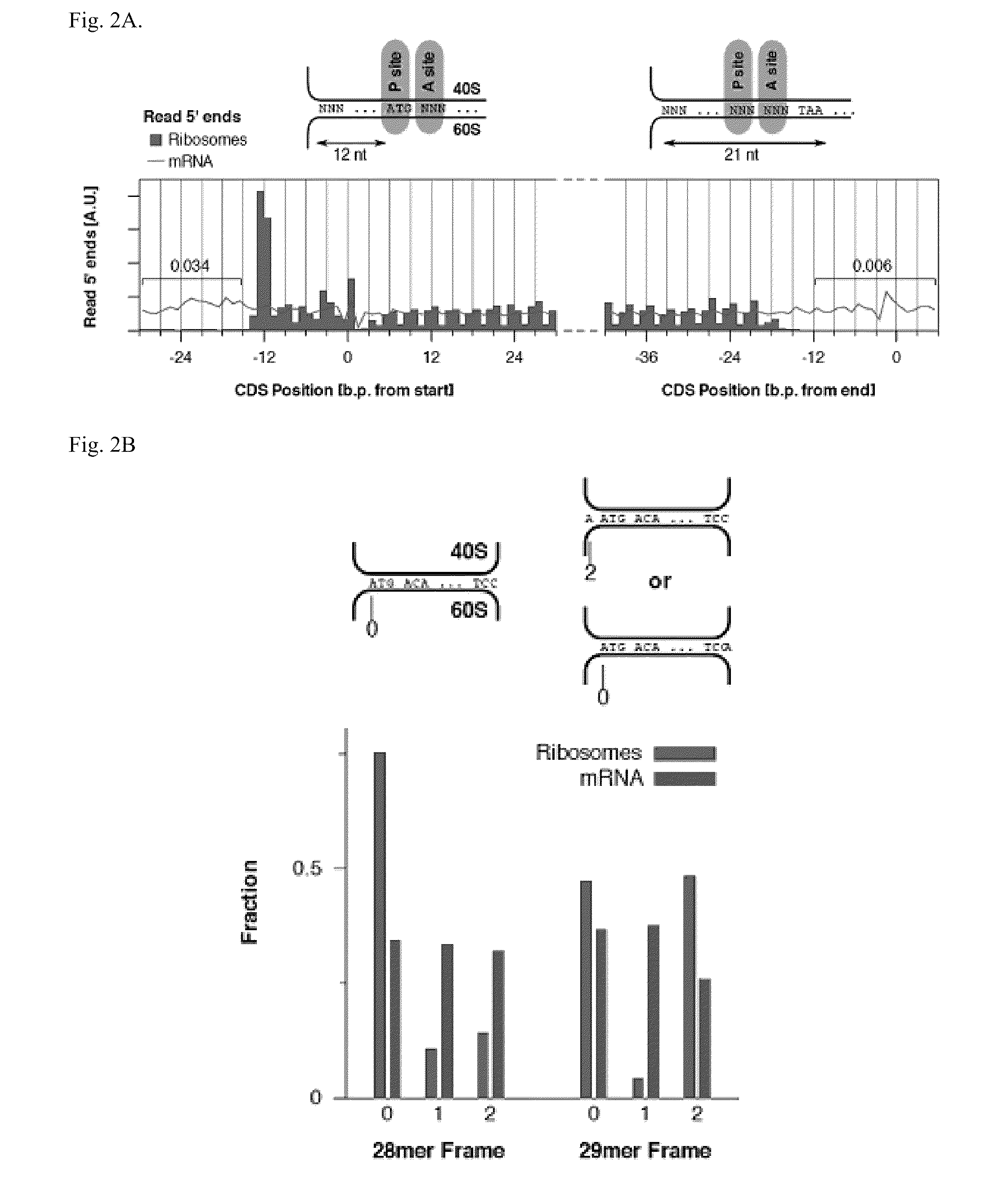 Methods for detecting modification resistant nucleic acids