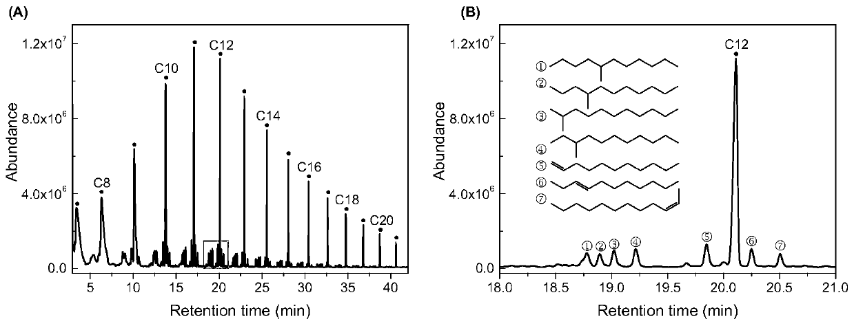 Method for producing long-chain alkanes by hydrothermal reduction of carbon dioxide with iron powder and cobalt powder