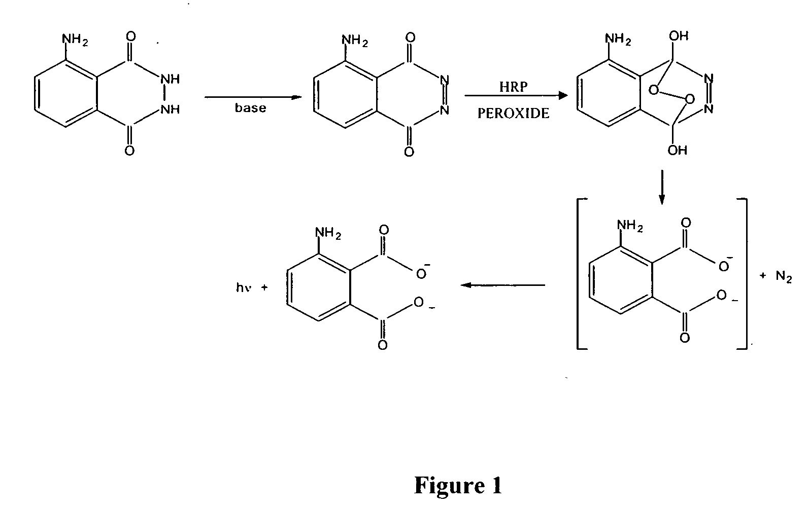 Stabilized two component system for chemiluminescent assay in immunodiagnostics