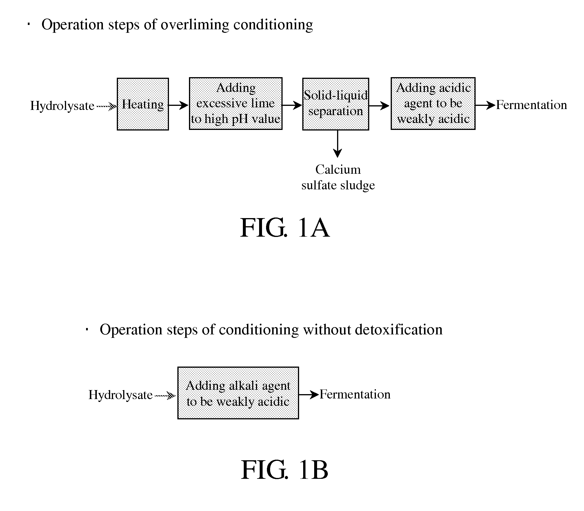 Method for producing xylitol from lignocellulosic hydrolysates without detoxification