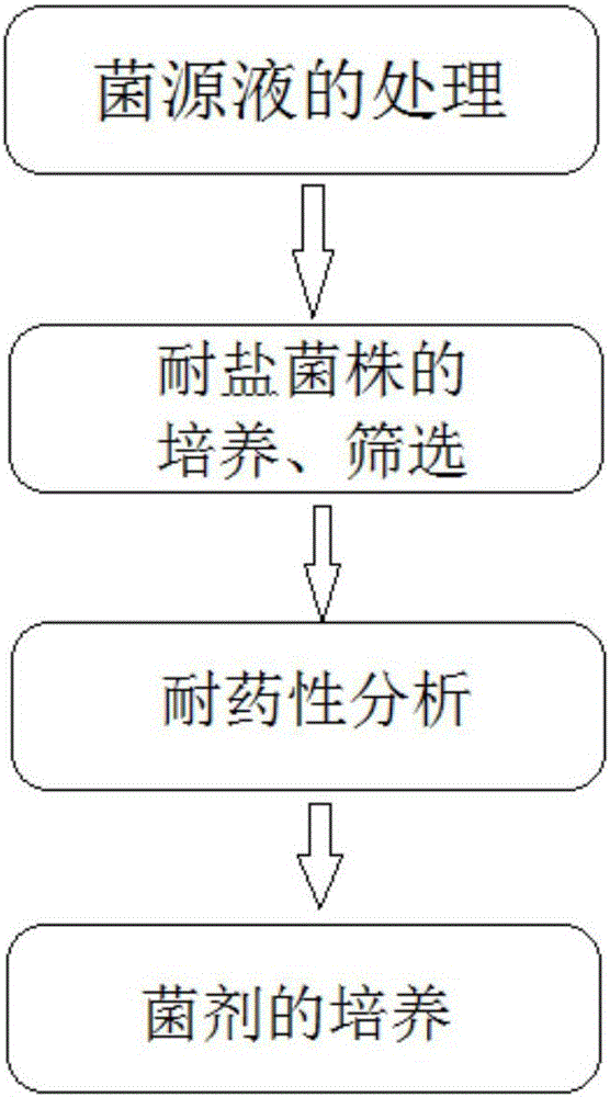 High-efficiency antibiotic wastewater treatment agent and preparation method and application thereof