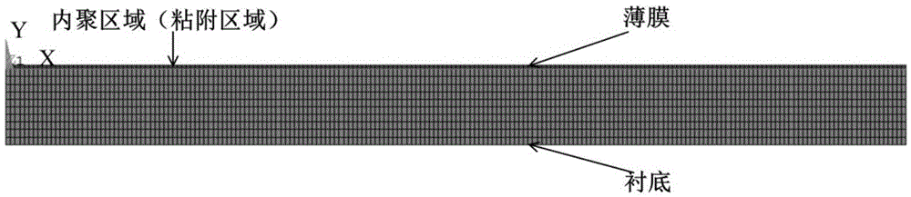 Nondestructive testing method for adhesion of thin film based on cohesion model