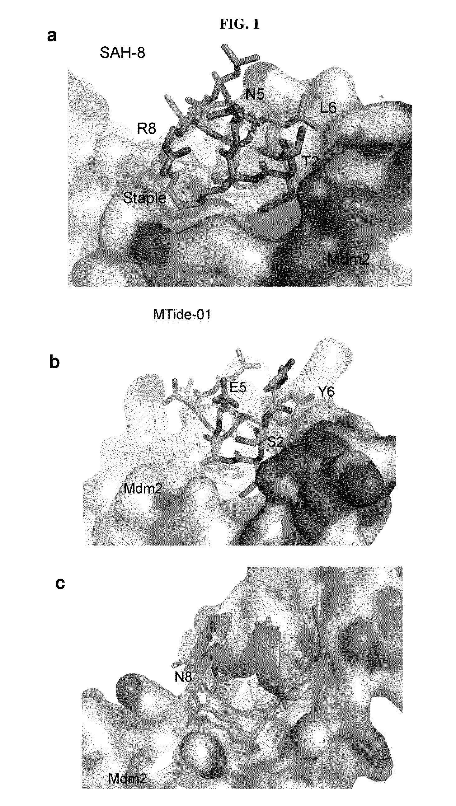 Peptides and methods for treating cancer