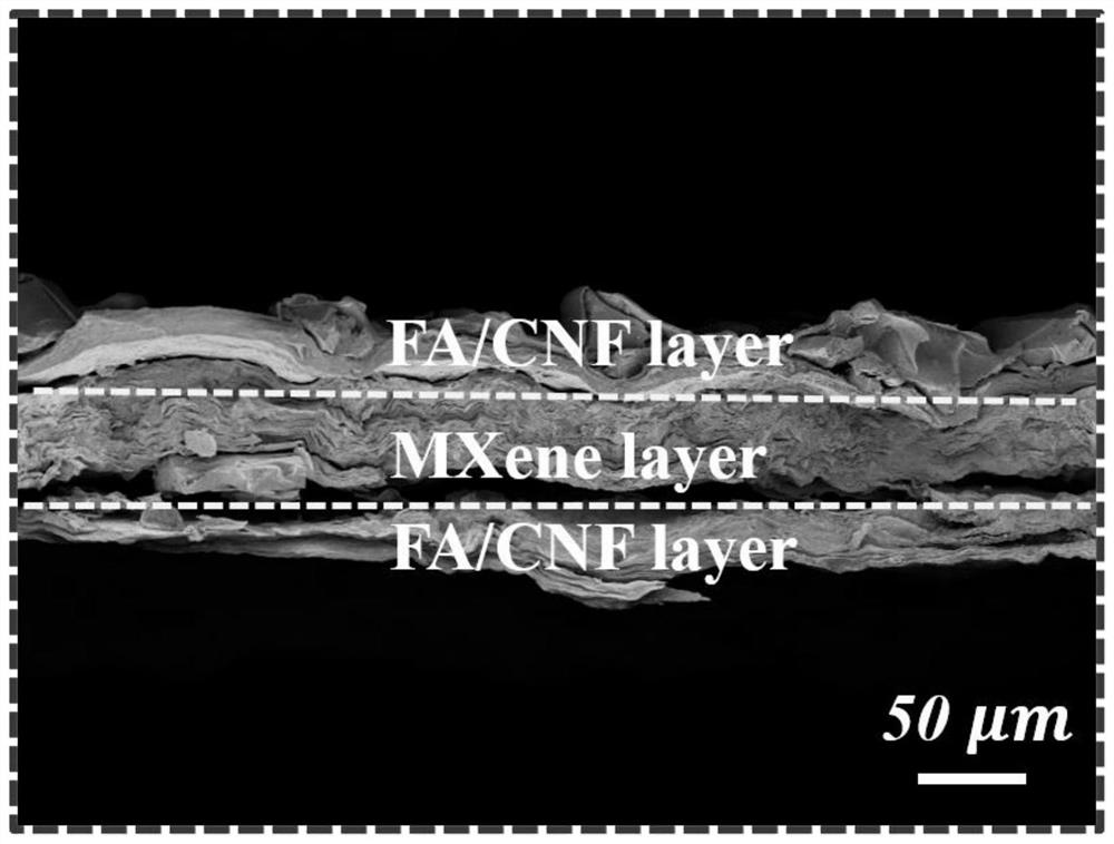 Preparation method of sandwich structure FA/MXene/CNF composite material